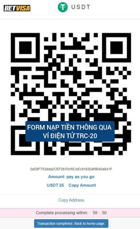 nap-tien-thong-qua-vi-dien-tu-giao-thuc-trc20