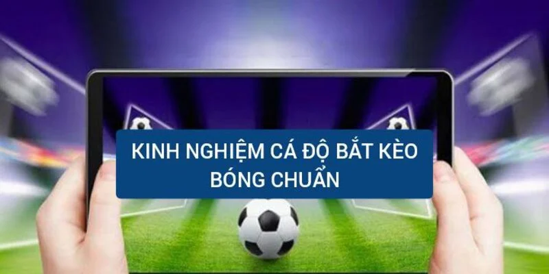 kinh-nghiem-ca-do-khi-bat-keo