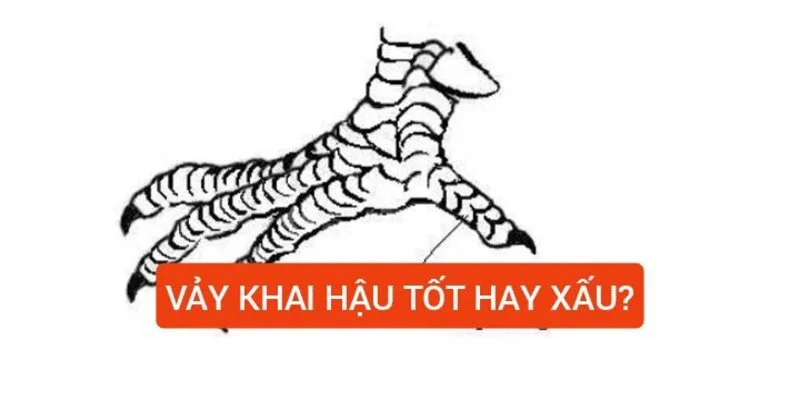 vay-khai-hau-tot-hay-xau
