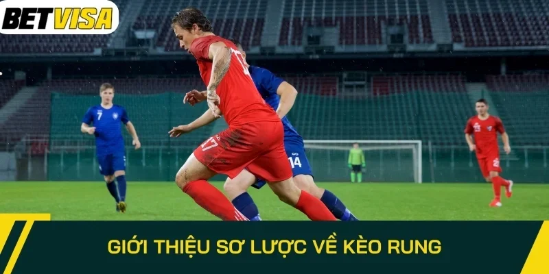 Giới thiệu sơ lược về kèo rung