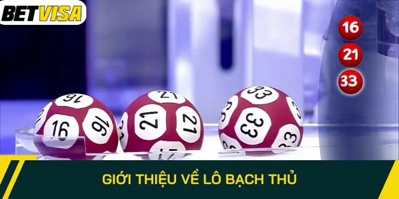 Giới thiệu về lô bạch thủ