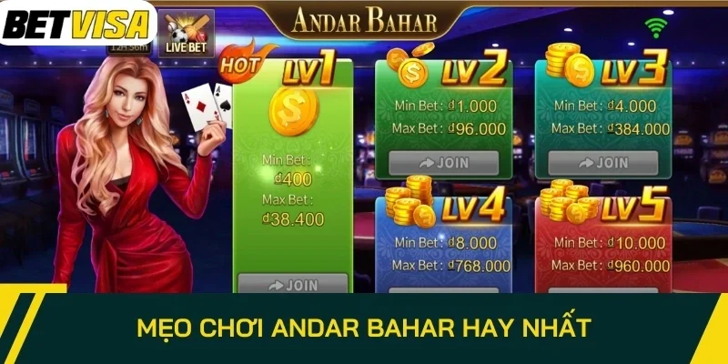 Mẹo chơi Andar Bahar hay nhất